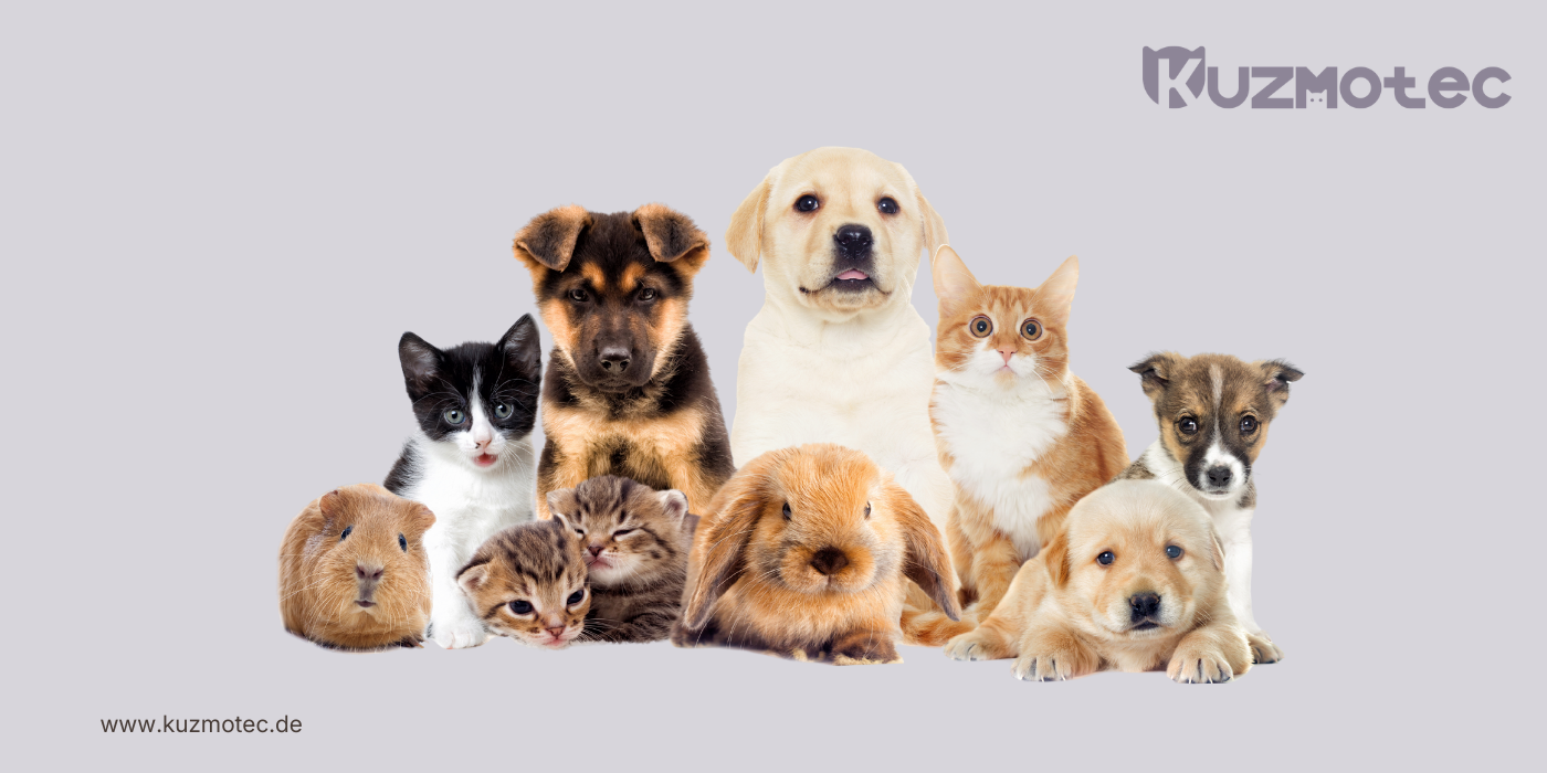 Bürgergeld für Haustiere