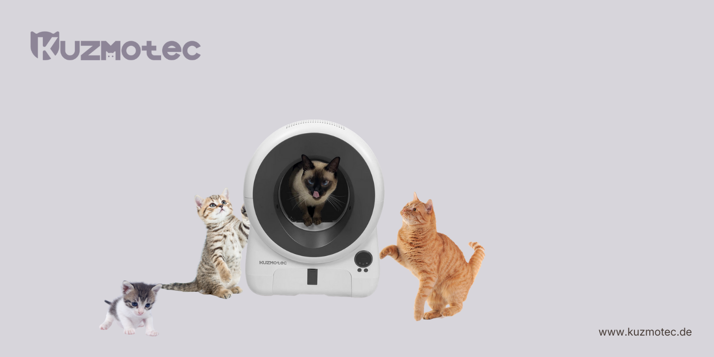 Kätzchen-Modus und Mehrkatzenmodus