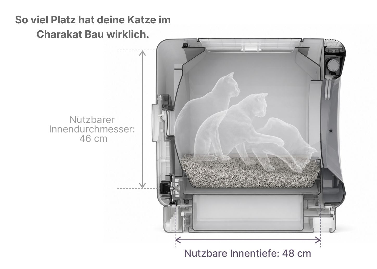 Charakat Bau Innenansicht – Katze beim Einsteigen, Drehen und Graben im großzügigen Innenraum