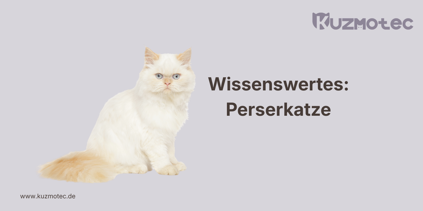 Perserkatze