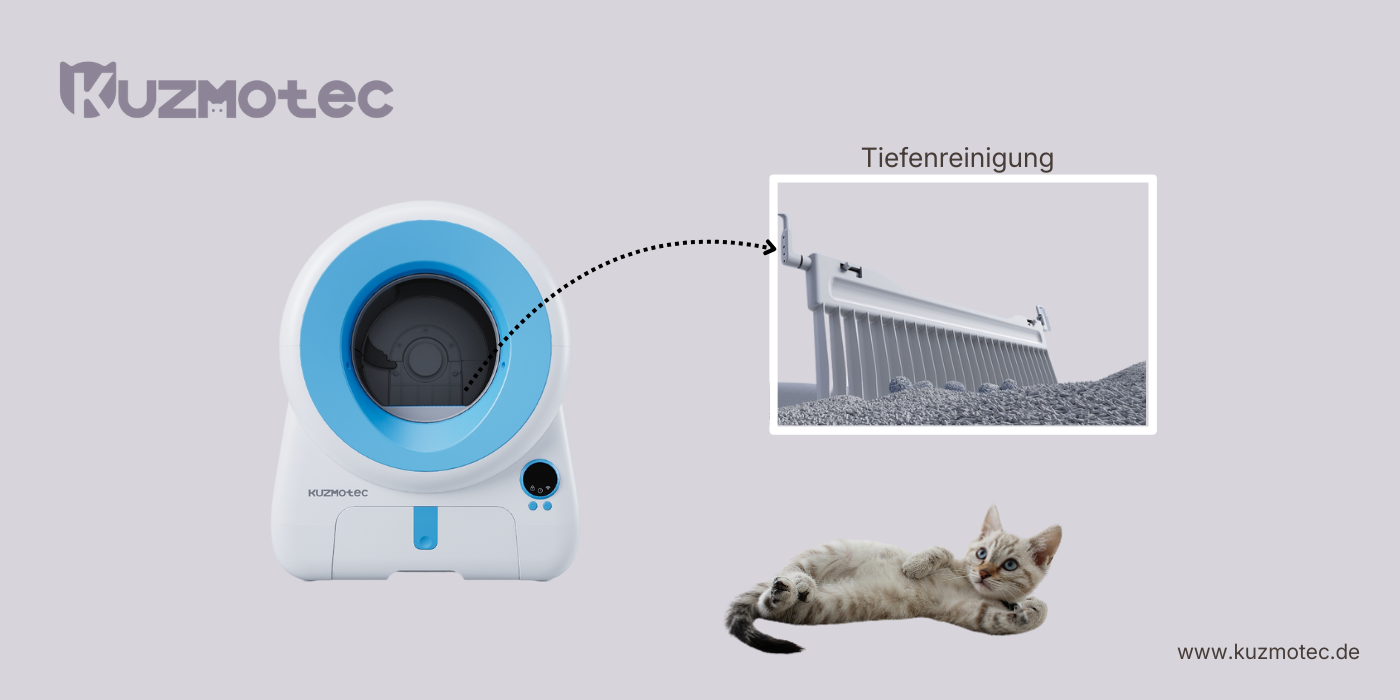 Tiefenreinigung - Kuzmotec Cozyclean 1