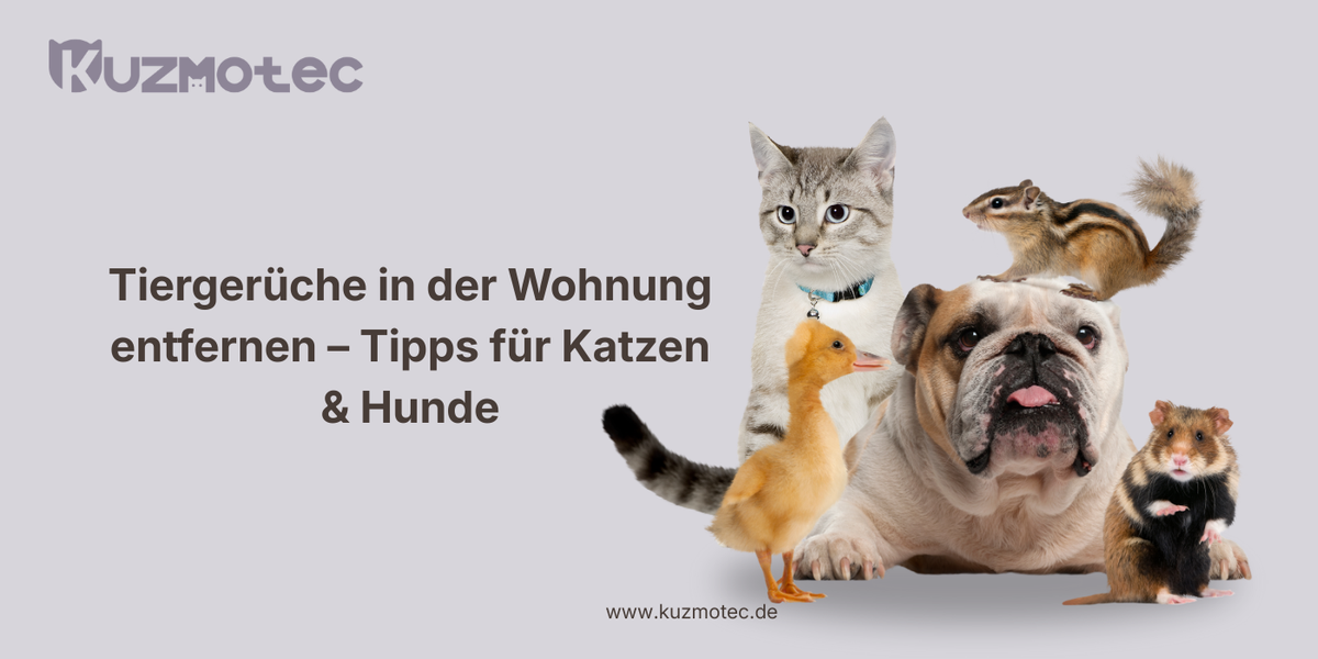 Katzen- und Hundehaushalte aufgepasst: So entfernen Sie Tiergerüche in der Wohnung dauerhaft