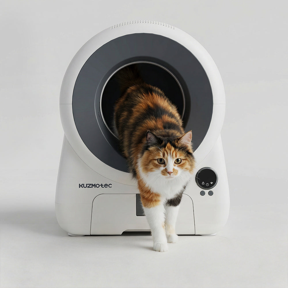 CozyClean 1 | Smarte selbstreinigende Katzentoilette
