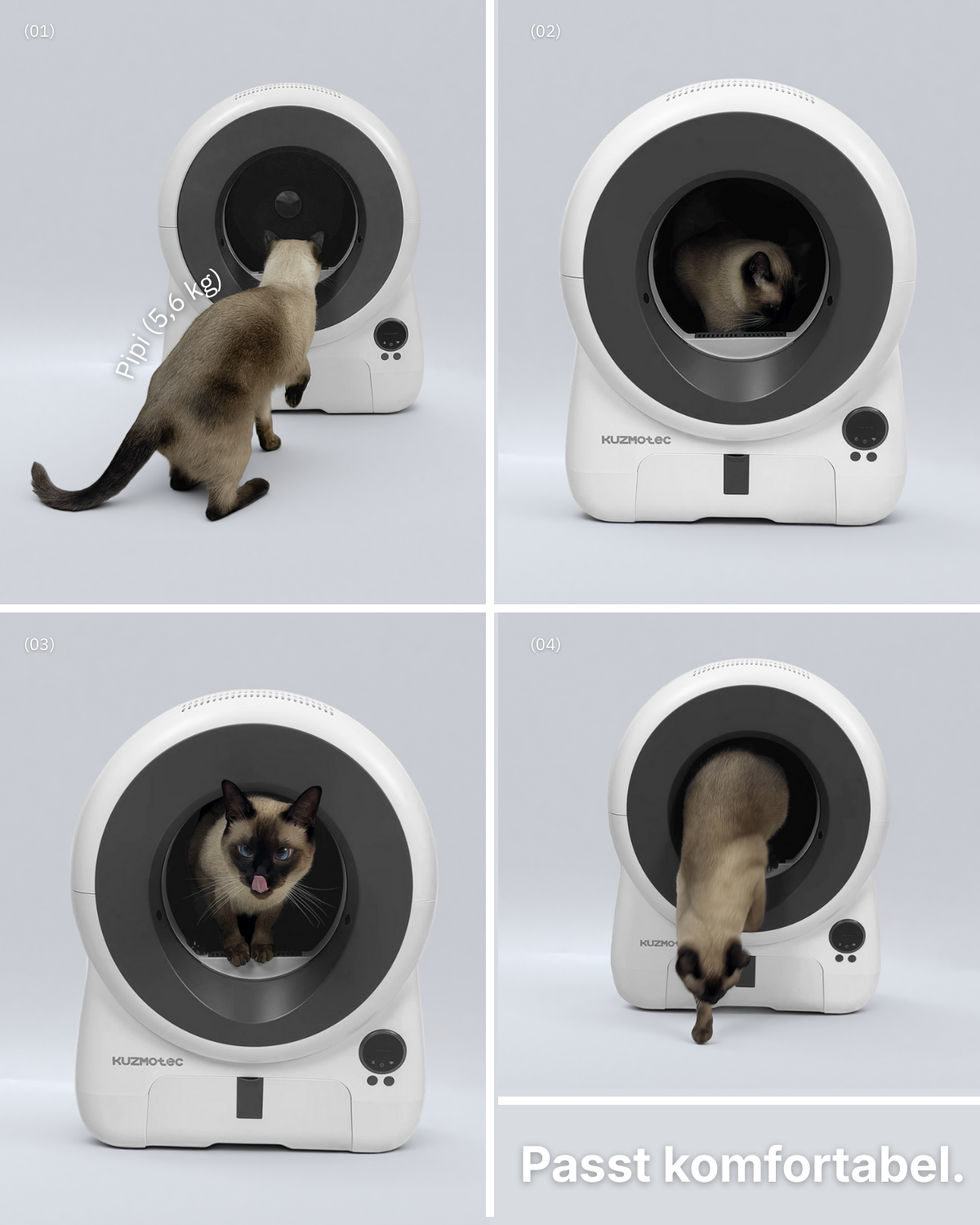 Großer Innenraum der CozyClean 1 für Katzen unterschiedlicher Größe